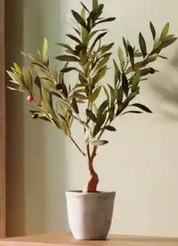 Canac Artificial Olive Tree with White Cement Pot 29 1/2 in offer