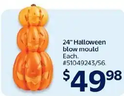 Walmart 24" Halloween blow mould offer