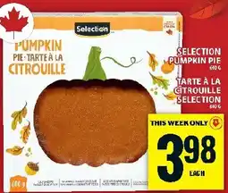 Food Basics Selection pumpkin pie offer