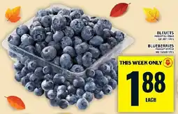 Food Basics Blueberries offer