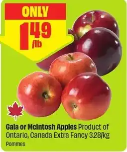 FreshCo Gala or McIntosh Apples offer