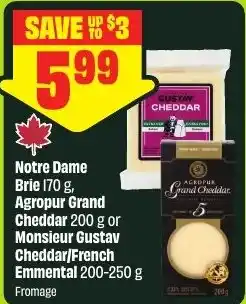 FreshCo Notre Dame Brie offer