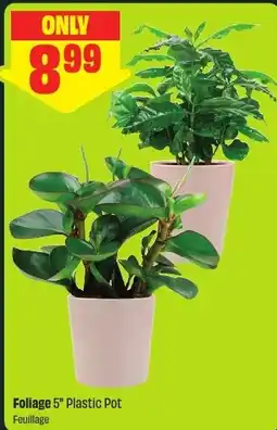 FreshCo Foliage 5" Plastic Pot offer