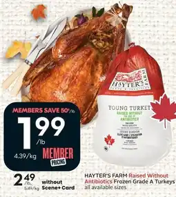 Sobeys Hayter's Farm Young Turkey offer