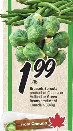 Sobeys Brussels Sprouts or Green Beans offer