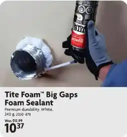 Home Hardware Lepage tite foam big gaps foam sealant offer