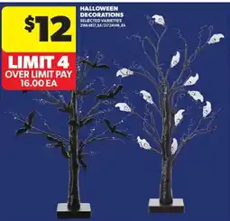 Atlantic Superstore Halloween Decorations offer