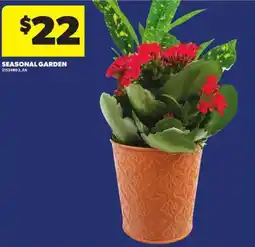 Atlantic Superstore Seasonal Garden offer