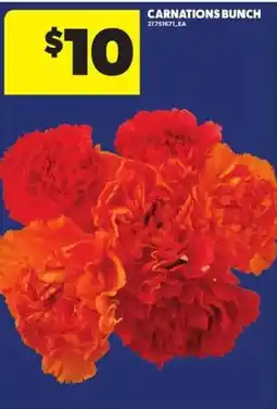 Atlantic Superstore Carnations bunch offer