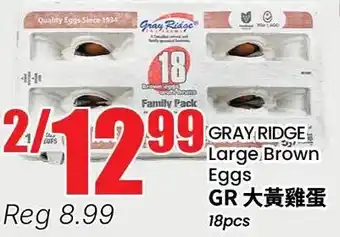 Gray ridge large brown eggs