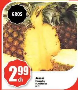 Bonanza Ananas offer