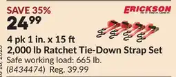 Princess Auto 4 pk 1 in. x 15 2,000 lb Ratchet Tie-Down Strap Set offer
