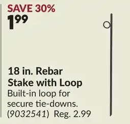 Princess Auto 18 in. Rebar Stake with Loop offer