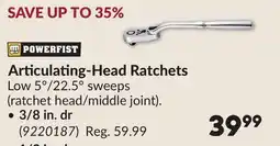 Princess Auto Articulating-Head Ratchets offer