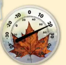 Princess Auto Thermometers 12 in. Maple Leaf Dial offer