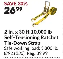 Princess Auto 2 in. x 30 ft 10,000 lb Self-Tensioning Ratchet Tie-Down Strap offer