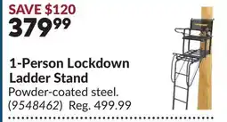 Princess Auto 1-Person Lockdown Ladder Stand offer