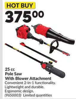 Princess Auto 25 cc Pole Saw With Blower Attachment offer