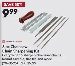 Princess Auto 8 pc Chainsaw Chain Sharpening Kit offer