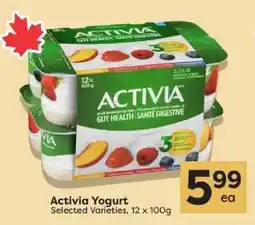 Quality Foods Activia Yogurt offer