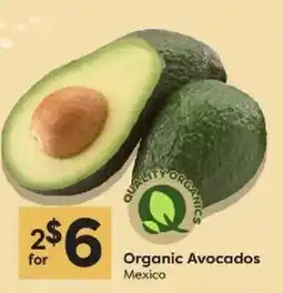 Quality Foods Organic Avocados offer