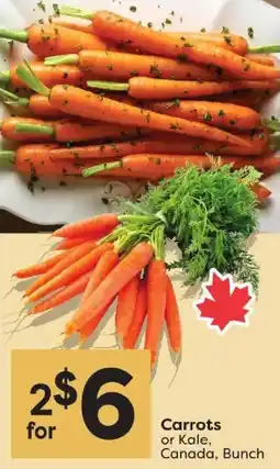 Quality Foods Carrots or Kale, Bunch offer