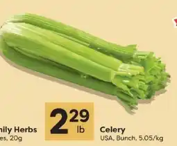 Quality Foods Celery offer