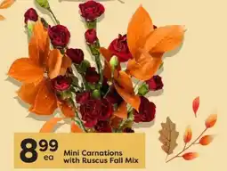 Quality Foods Mini Carnations with Ruscus Fall Mix offer