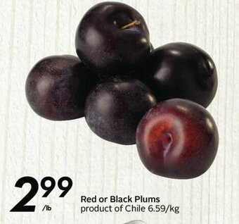 Sobeys Red or Black Plums offer