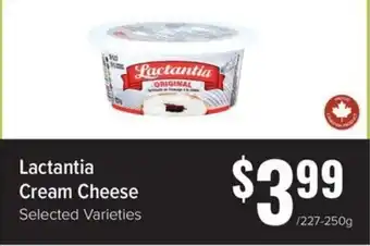 Lactantia cream cheese