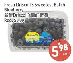 Fresh Palace Supermarket Driscoll's blueberry offer