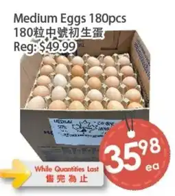 Fresh Palace Supermarket Medium Eggs offer