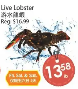 Fresh Palace Supermarket Live Lobster offer