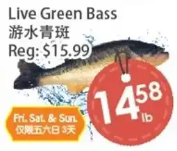 Fresh Palace Supermarket Live Green Bass offer