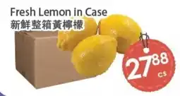 Fresh Palace Supermarket Fresh Lemon in Case offer