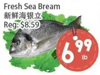 Fresh Sea Bream