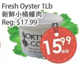 Fresh Palace Supermarket Fresh Oyster offer