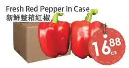 Fresh Palace Supermarket Fresh Red Pepper in Case offer