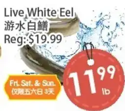 Fresh Palace Supermarket Live White Eel offer