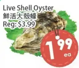 Fresh Palace Supermarket Live Shell Oyster offer