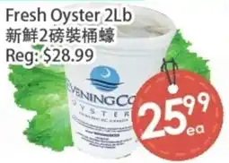 Fresh Palace Supermarket Eveningco oyster offer