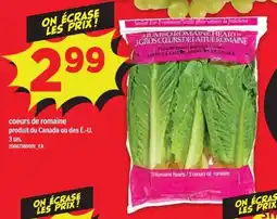 Maxi Jumbo romaine hearts offer