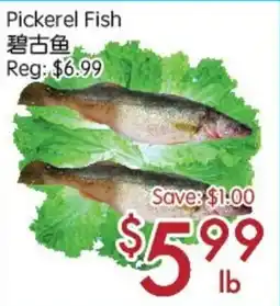 Sunny Food Mart Pickerel Fish offer