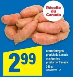 Maxi Cranberries offer