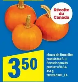 Maxi Brussels sprouts offer