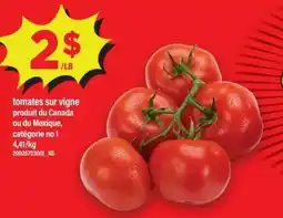 Maxi tomates sur vigne offer