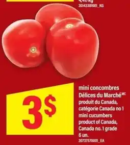Maxi mini cucumbers offer