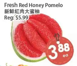 Fresh Palace Supermarket Fresh Red Honey Pomelo offer