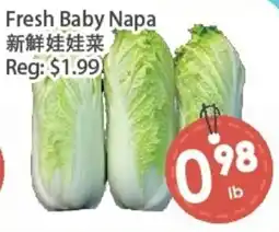 Fresh Palace Supermarket Fresh Baby Napa offer
