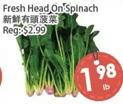 Fresh Palace Supermarket Fresh Head On Spinach offer